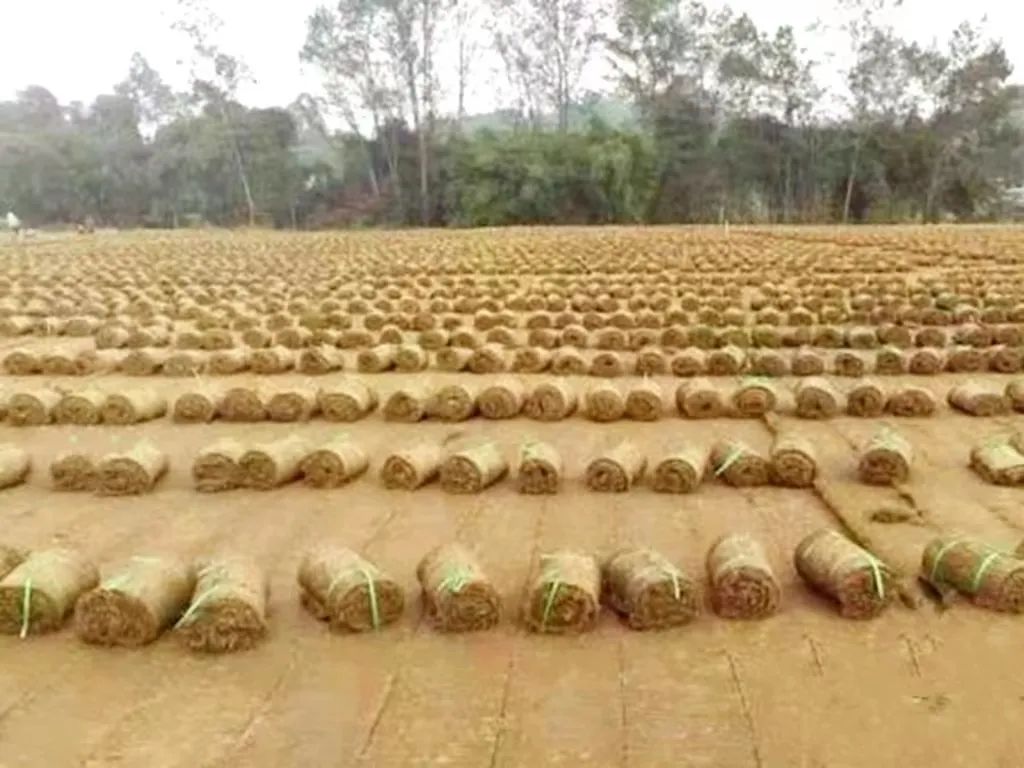 1652931363532963.jpg 5.jpg